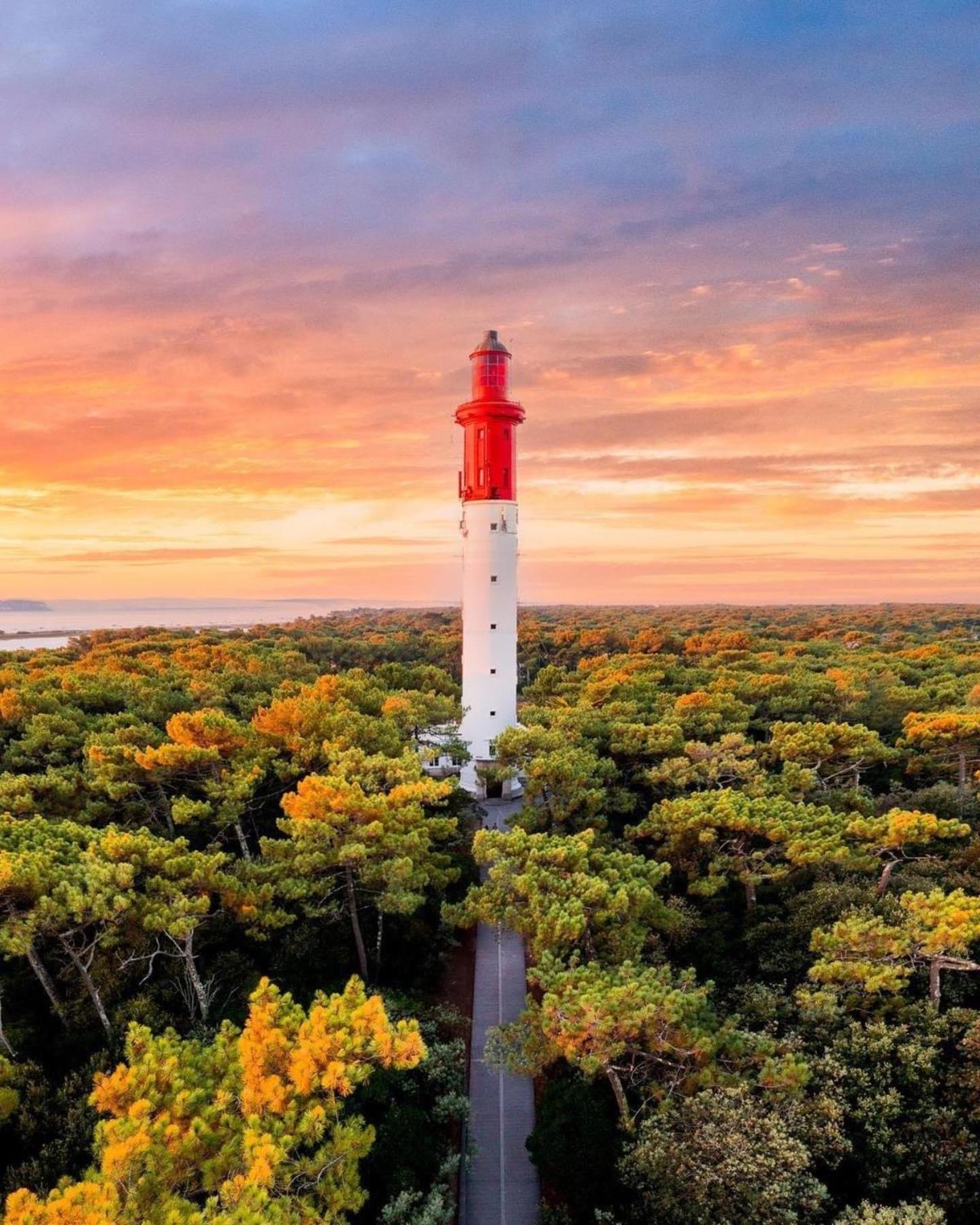 Cocon Entre Presqu'Ile Du Cap Ferret Et Plages Oceanes - Terrasse - 1 Velo Gratuit Ares Eksteriør billede