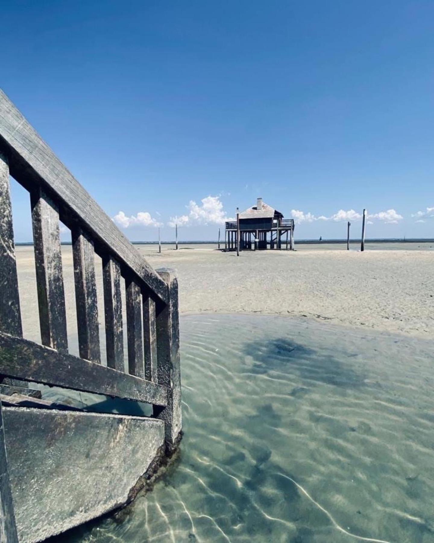 Cocon Entre Presqu'Ile Du Cap Ferret Et Plages Oceanes - Terrasse - 1 Velo Gratuit Ares Eksteriør billede