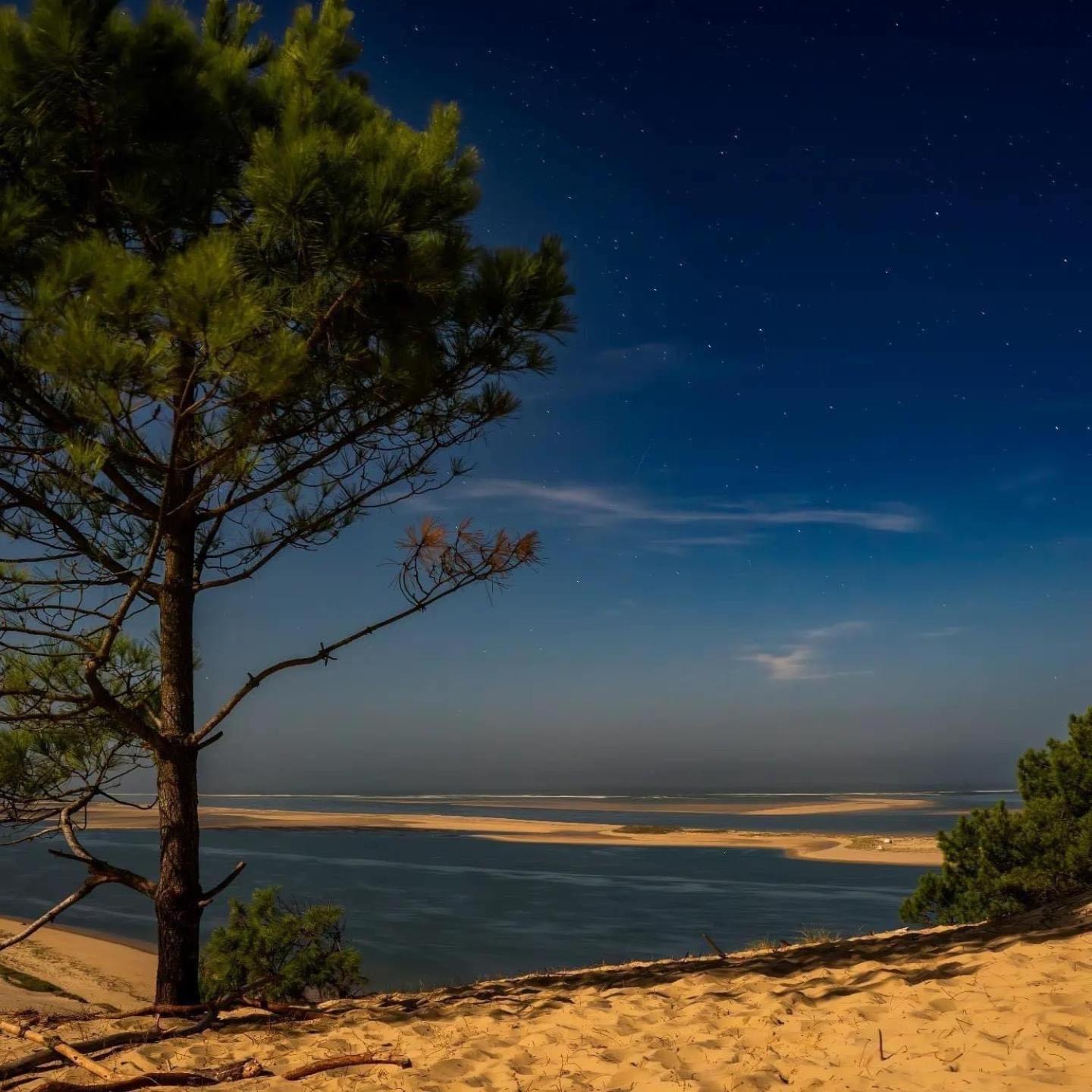 Cocon Entre Presqu'Ile Du Cap Ferret Et Plages Oceanes - Terrasse - 1 Velo Gratuit Ares Eksteriør billede