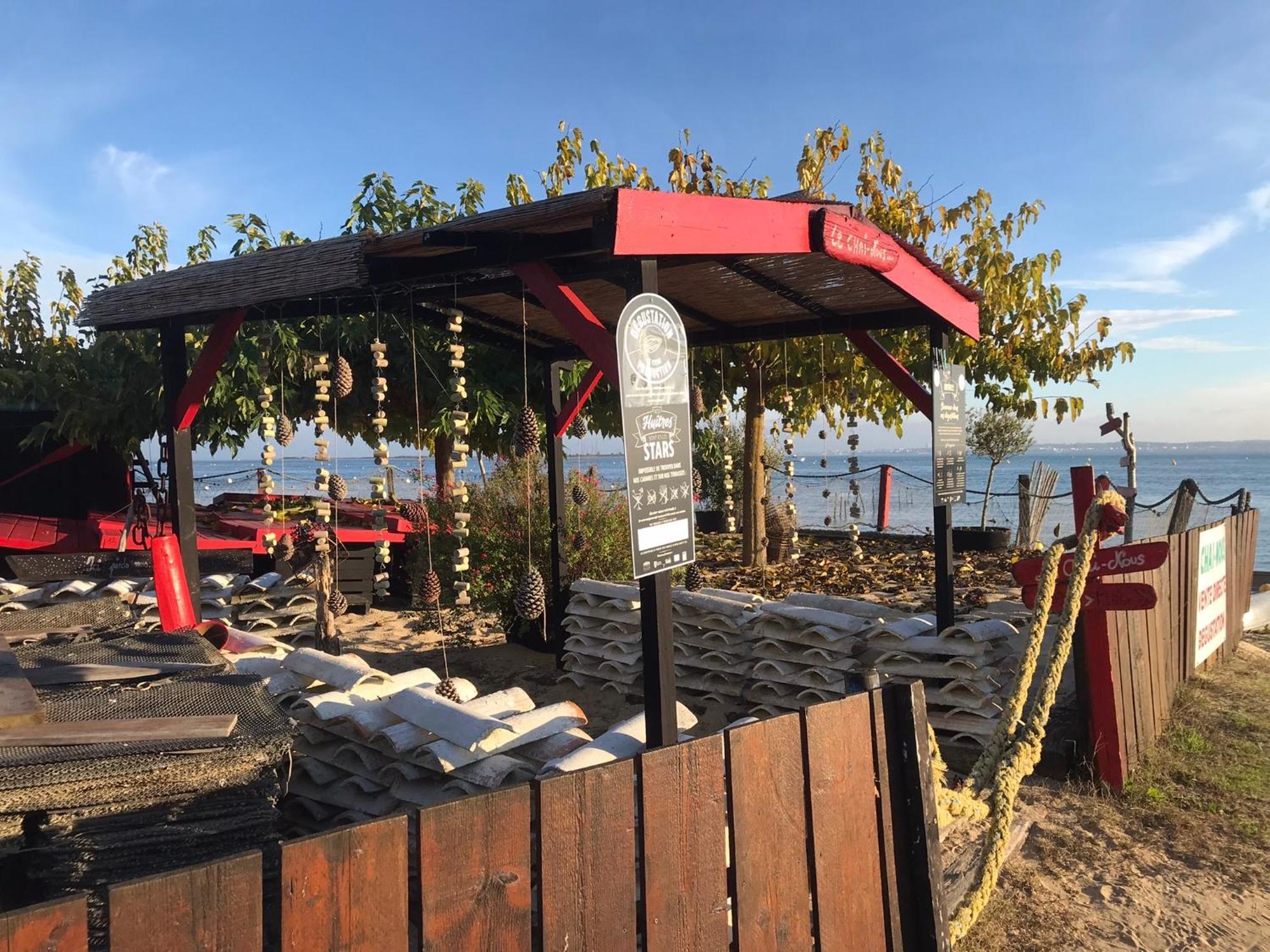Cocon Entre Presqu'Ile Du Cap Ferret Et Plages Oceanes - Terrasse - 1 Velo Gratuit Ares Eksteriør billede