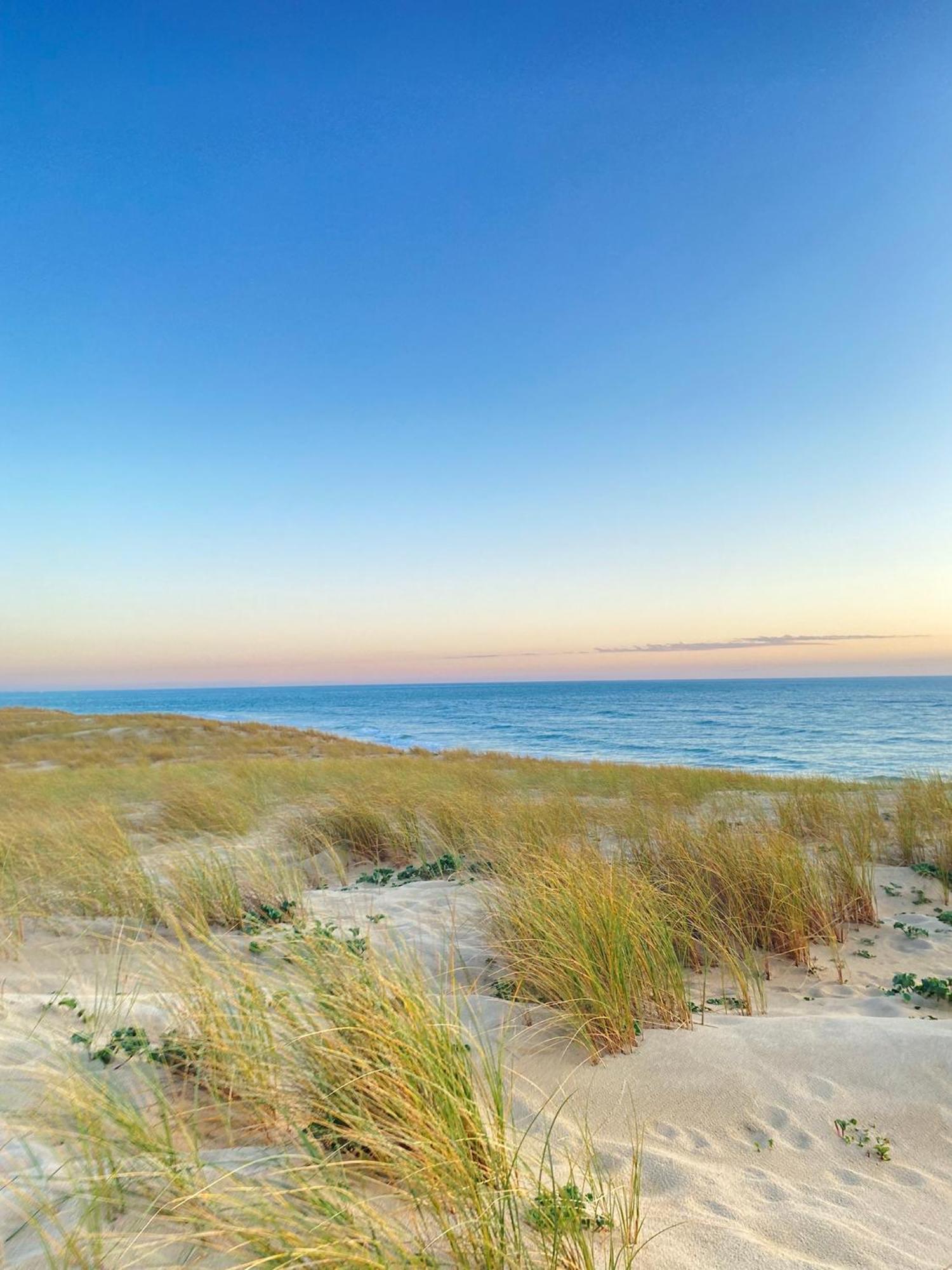 Cocon Entre Presqu'Ile Du Cap Ferret Et Plages Oceanes - Terrasse - 1 Velo Gratuit Ares Eksteriør billede