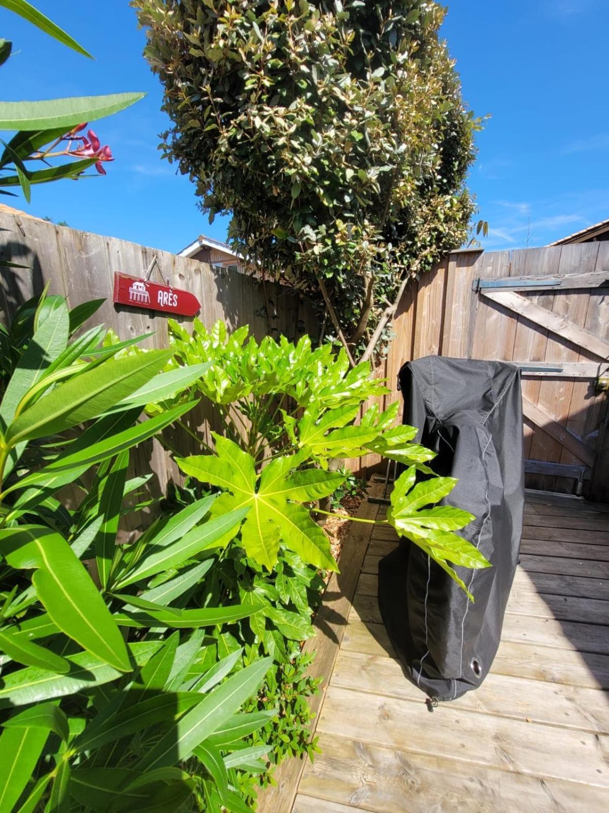 Cocon Entre Presqu'Ile Du Cap Ferret Et Plages Oceanes - Terrasse - 1 Velo Gratuit Ares Eksteriør billede